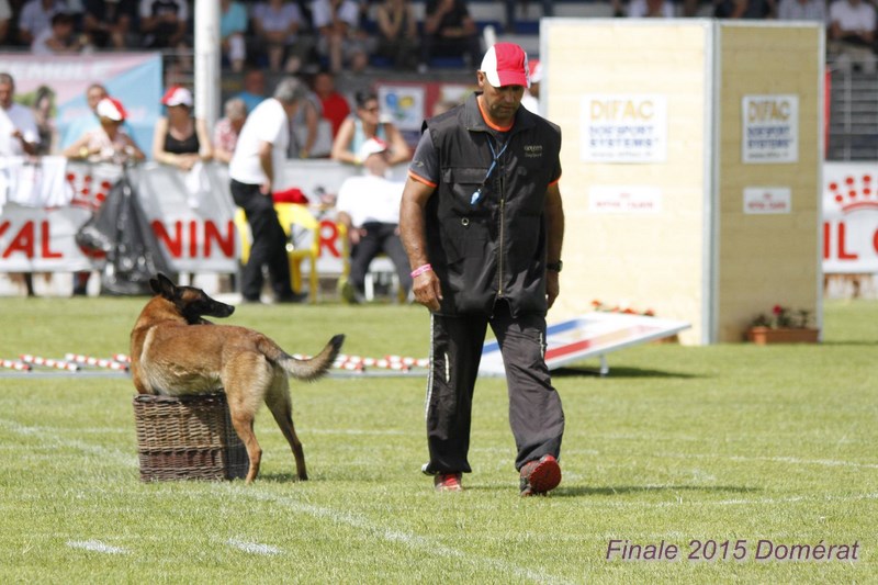 2015 domerat val1.jpg